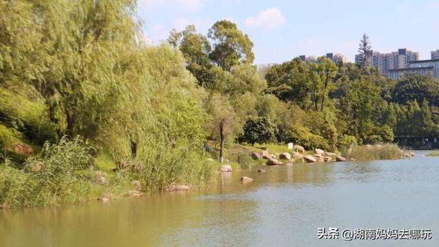 30分钟登顶！长沙私藏小众徒步路线，一站解锁遛娃顶“尖”玩法