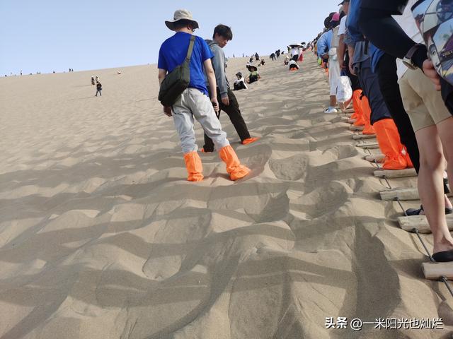 吃点核桃补补我这傻脑