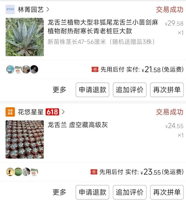 世外桃源，来了包邮的快递