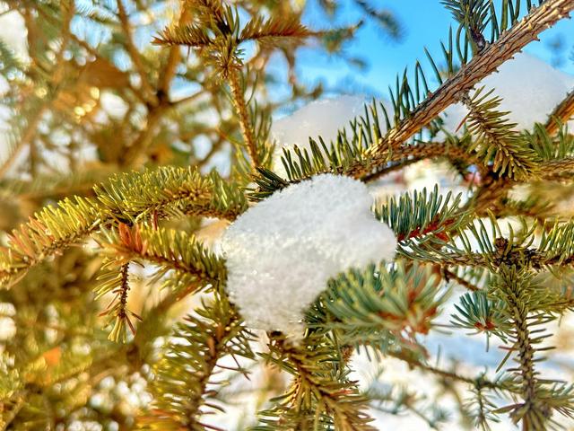 银装裹山河 暖意藏烟火