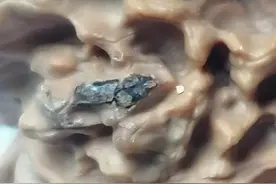 关于国家农村宅基地的买卖政策解读图片