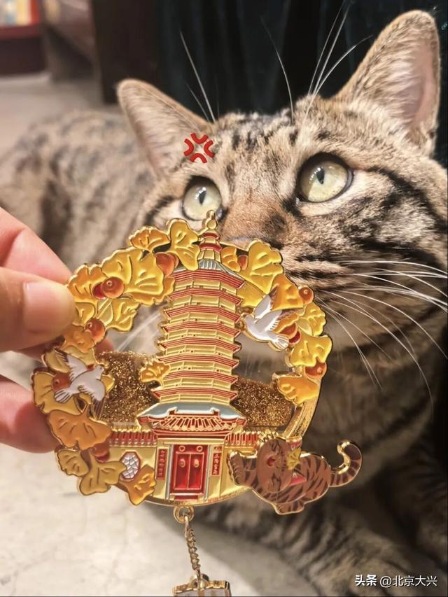 绝美！北京秋季颜值已达巅峰！这样定格最美秋天！