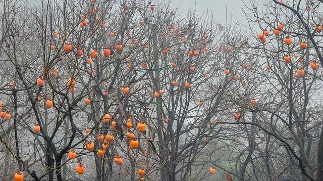 美景、品美食，来歙县，遇见一场“秋意浓”丨第十五届安徽国际文化旅游节