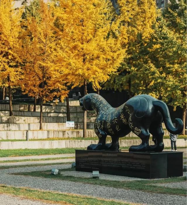 顶流回归！西安5个绝美银杏打卡地！