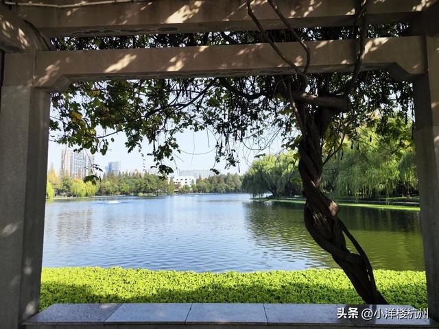 跟随树友们逛中国第一座现代植物园——浙大植物园