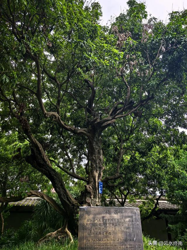 福州不多的收费古寺,20元门票能吃到宋代的荔枝吗?看我实地探访