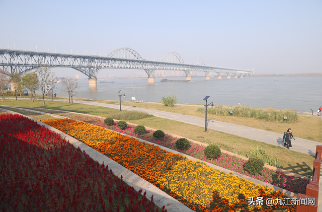 诗意浔城 色彩斑斓冬如春