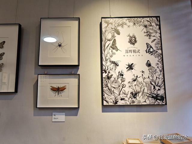 到保定旅游，其他地方可以不去，但这个景点必须要来参观