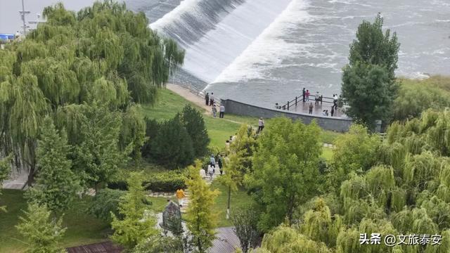 “北方都江堰”!秋日阳光洒在戴村坝,碎成万点金光!