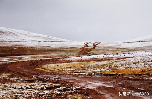 从此不再胡乱结伴：我没把你丢在无人区，仅仅因为你是女人
