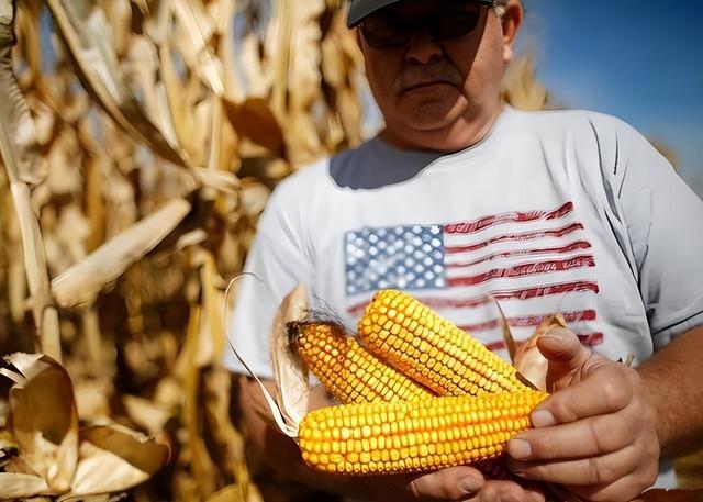 差距这么大？美国前8个月出口额13148亿美元，中国出口额让人意外