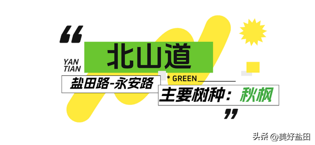 盐田林荫道，永远是封神的存在