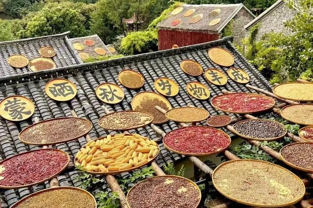 跟着色彩游临沂 | 柿子熟了・田园采摘之旅，承包你的秋日快乐