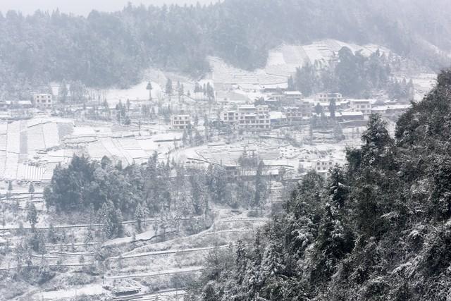 “上午立冬冻死牛，下午立冬暖烘烘”，2025年立冬上午还是下午？