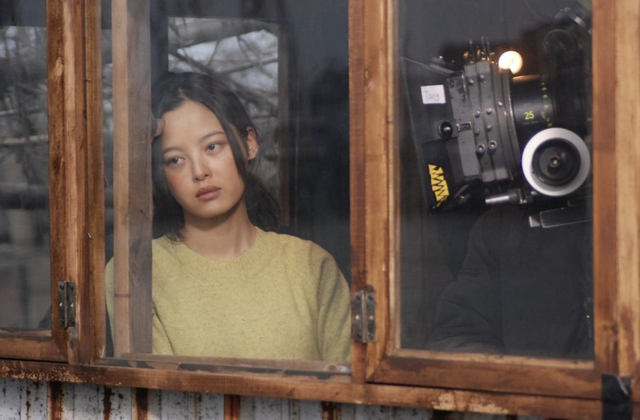 巩俐叶德娴之后就是她，辛芷蕾凭什么封后？曾被骂“想红写脸上”