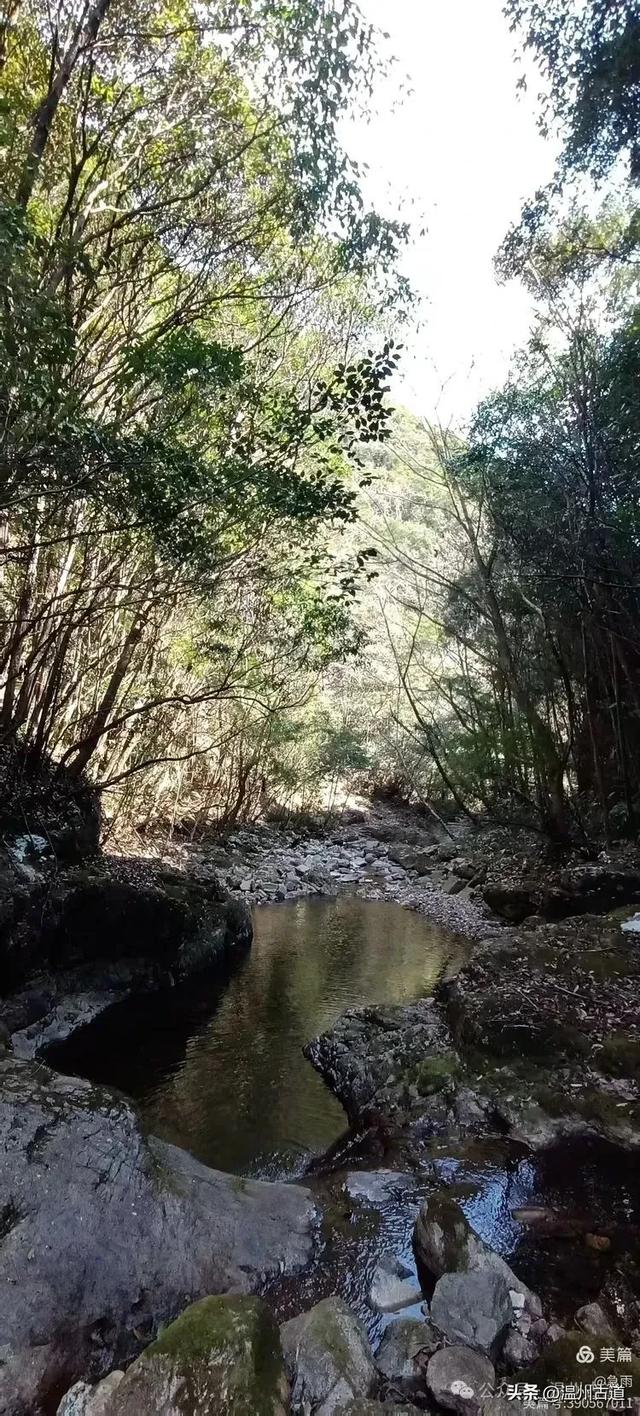 五次试走,终于揭开楠溪江源头永仙边界这条防火道的神秘面纱!