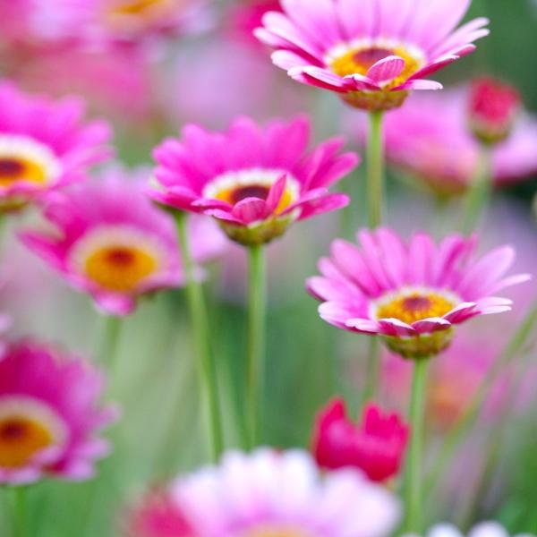 情感爆文《在感情的世界里，懂比爱重要》