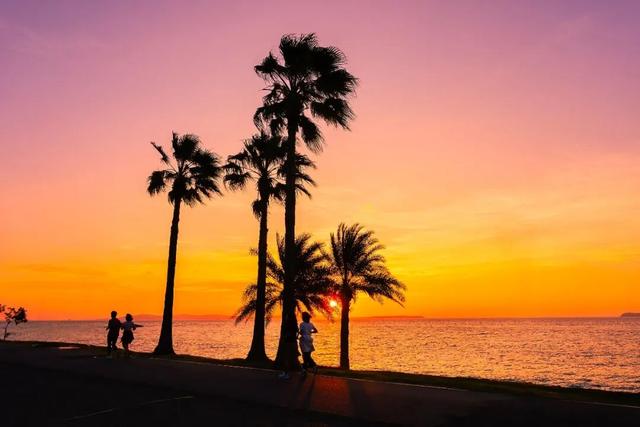 反向过冬“封神榜”！这10个城市温暖又好玩