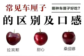 一次性给你讲清楚车厘子的品种口感和区别，哪种车厘子好吃图片