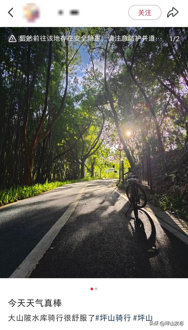 看完你的 看你的,坪山这片格桑花海承包你的秋日治愈感!