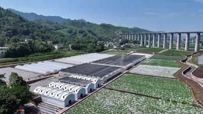 区县新“势”调研行·高县丨文旅融合一路高歌 诗与远方正当其时