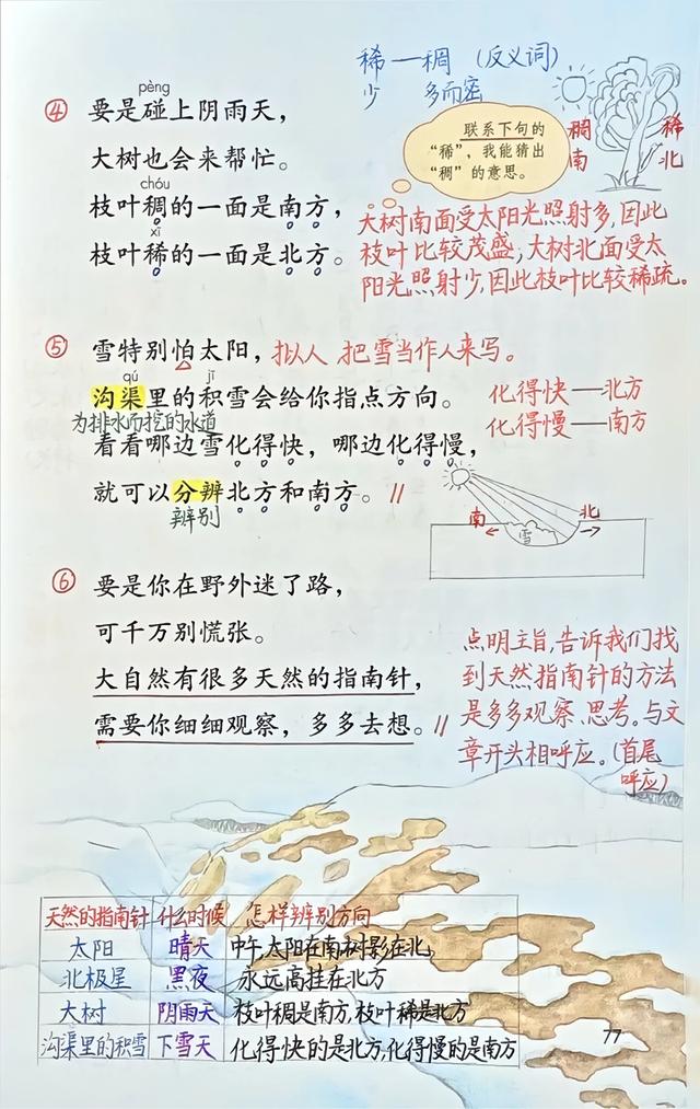 二年级下册语文，第六单元《要是你在野外迷了路》笔记+课堂解析