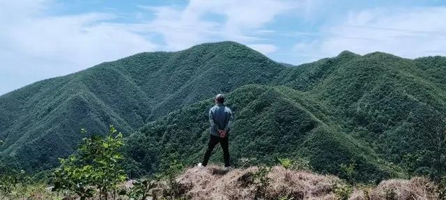 21.7℃的夏天！天目山麓藏了个“神仙村落”丨包个村子避暑去⑧