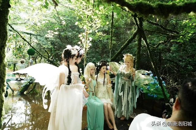 太美啦！@各位小仙女，洛阳这里上新“绿光森林”梦幻场景！