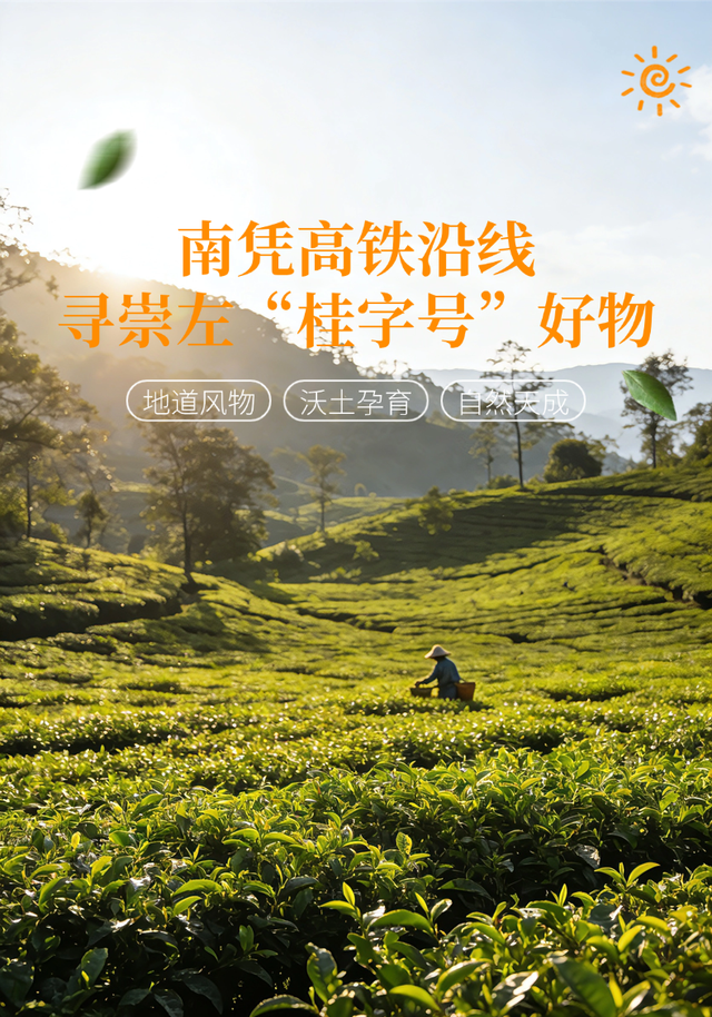 【沿“线”寻味】沿着刚通车的南凭高铁，寻找藏在崇左乡野的“桂字号”