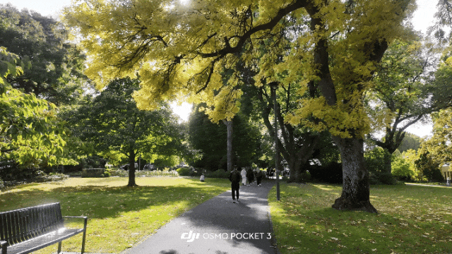 每个人都能拍出的“电影感	”	，被大疆卷到位了