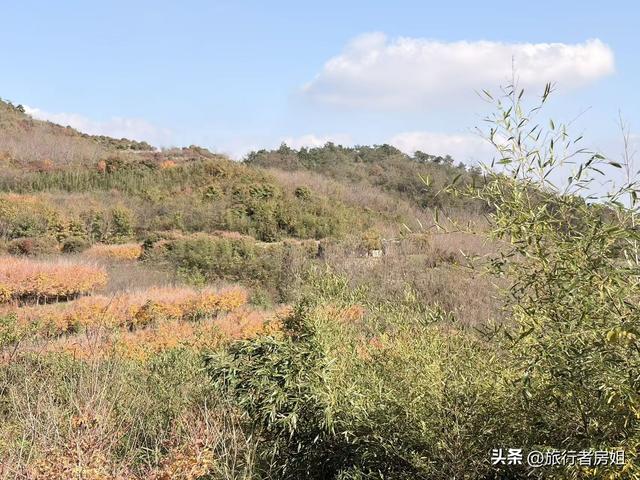 徒步奉化大雷山，古村、古道、梯田、秋景全部包揽
