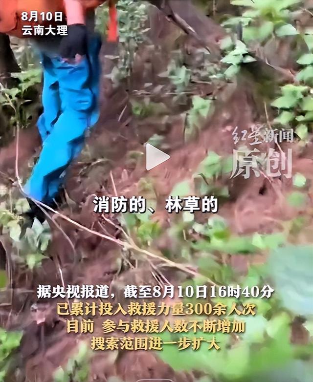 自闭儿走丢最新：三次搜山无果，救援队传来噩耗，夏令营黑幕曝光