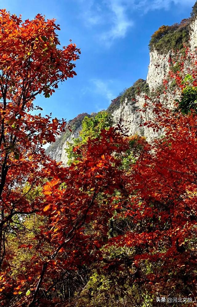秋游河北悦山河 | 赏漫山红叶，看云卷云舒！这才是金秋嶂石岩的正确打开方式