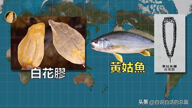 美国陈年花胶 2026年陈年花胶价格