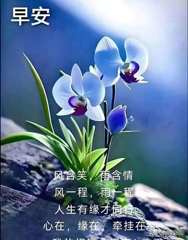 指尖轻触定格美好，民俗风情与生活交织，让冰冷屏幕拥有温度