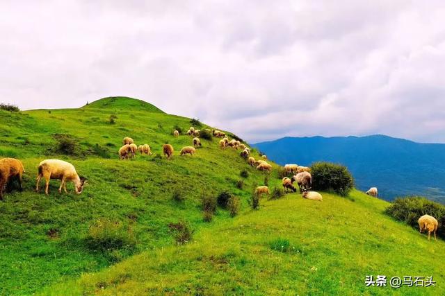 置身于青山绿水之间