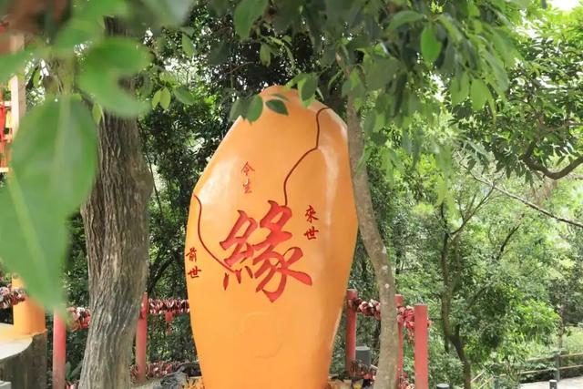 谁懂啊！2026还在路上，我的福气已经在东莞观音山爆仓了~