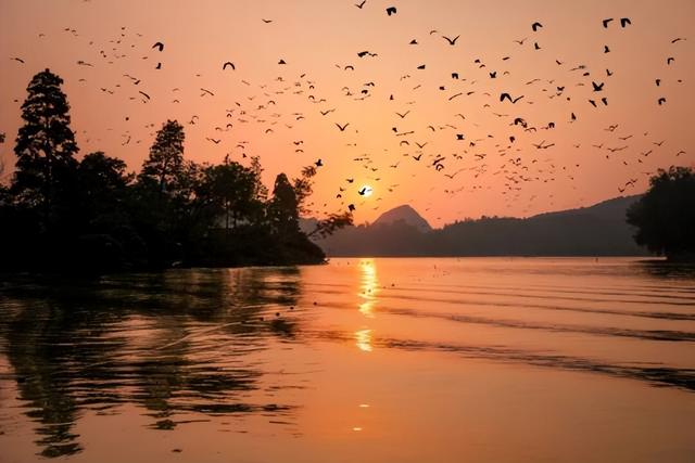 官宣！深圳、成都市民免费游星湖，时间持续至……