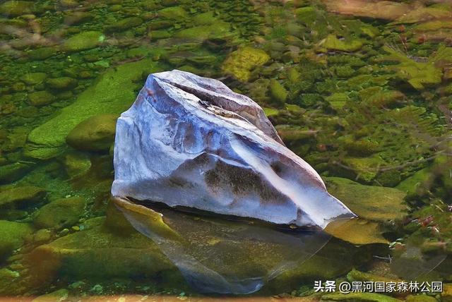 初秋美景大放送,自驾黑河,感受秋天的第一份浪漫!
