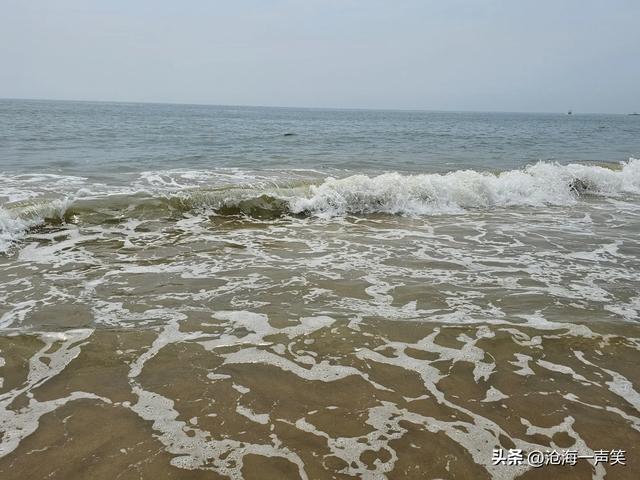 浪花一朵朵，浪声一阵阵，欢笑一片片，抓住暑期的尾巴尽情欢乐吧
