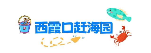 宝藏小城（荣成）漫游记 |想赶海！来荣成！