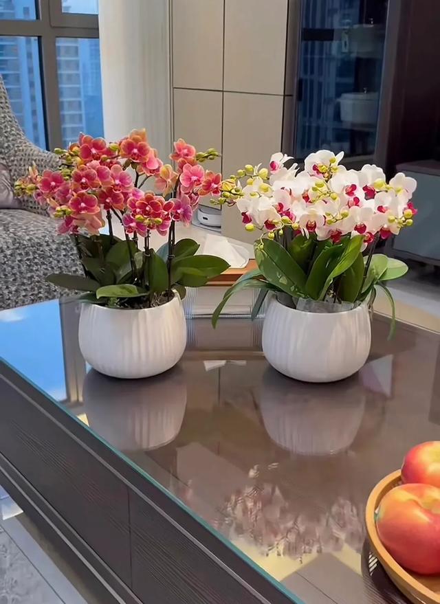 突然发现，儿子和我们疏远了，越来越陌生，满满的疏离感