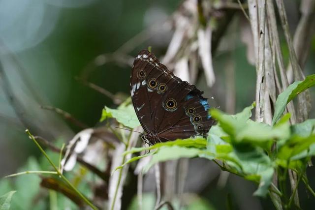 一生一次，2027年出发！41天南极半岛包船登陆，南美4国狂野自驾