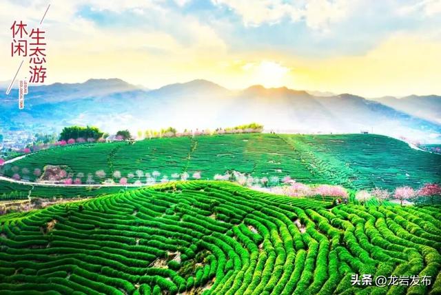 五彩龙岩亮相重庆洪崖洞，“渝见”龙岩“渝悦”之旅~