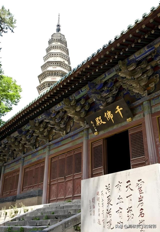 功夫寻源：河南少林·太极·杂技三日实录