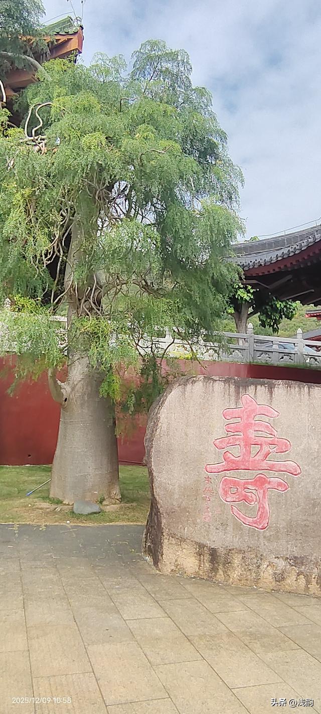 三亚南山景区随拍