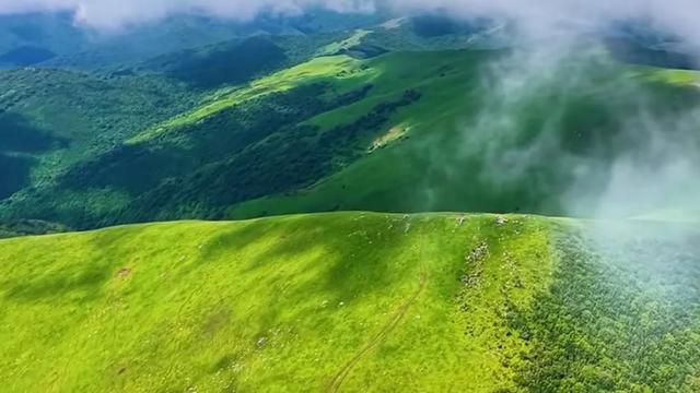 礼县文旅热力全开｜这个夏天，遍地是“爆款”