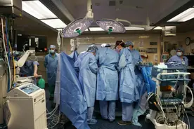 69次改造猪肾基因，全球首例人类活体移植猪肾成功！图片