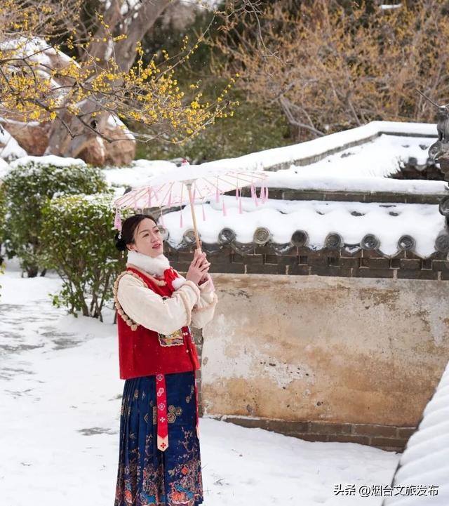 【乐游烟台】周末好去处丨全是花花！烟台神仙小店被花包围了