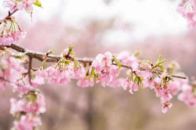 假期最后一天 宜春还能这么玩！